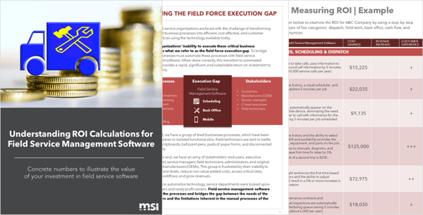 ROI Guide Page Display